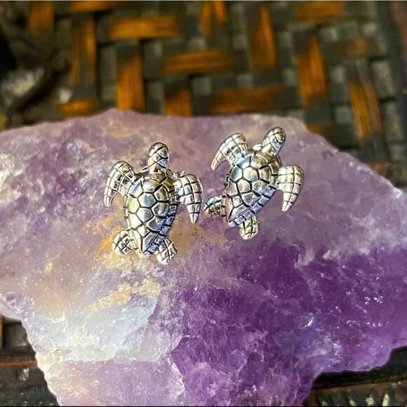 Detailed Sterling Silver Turtle Earrings - Picture 1 of 4